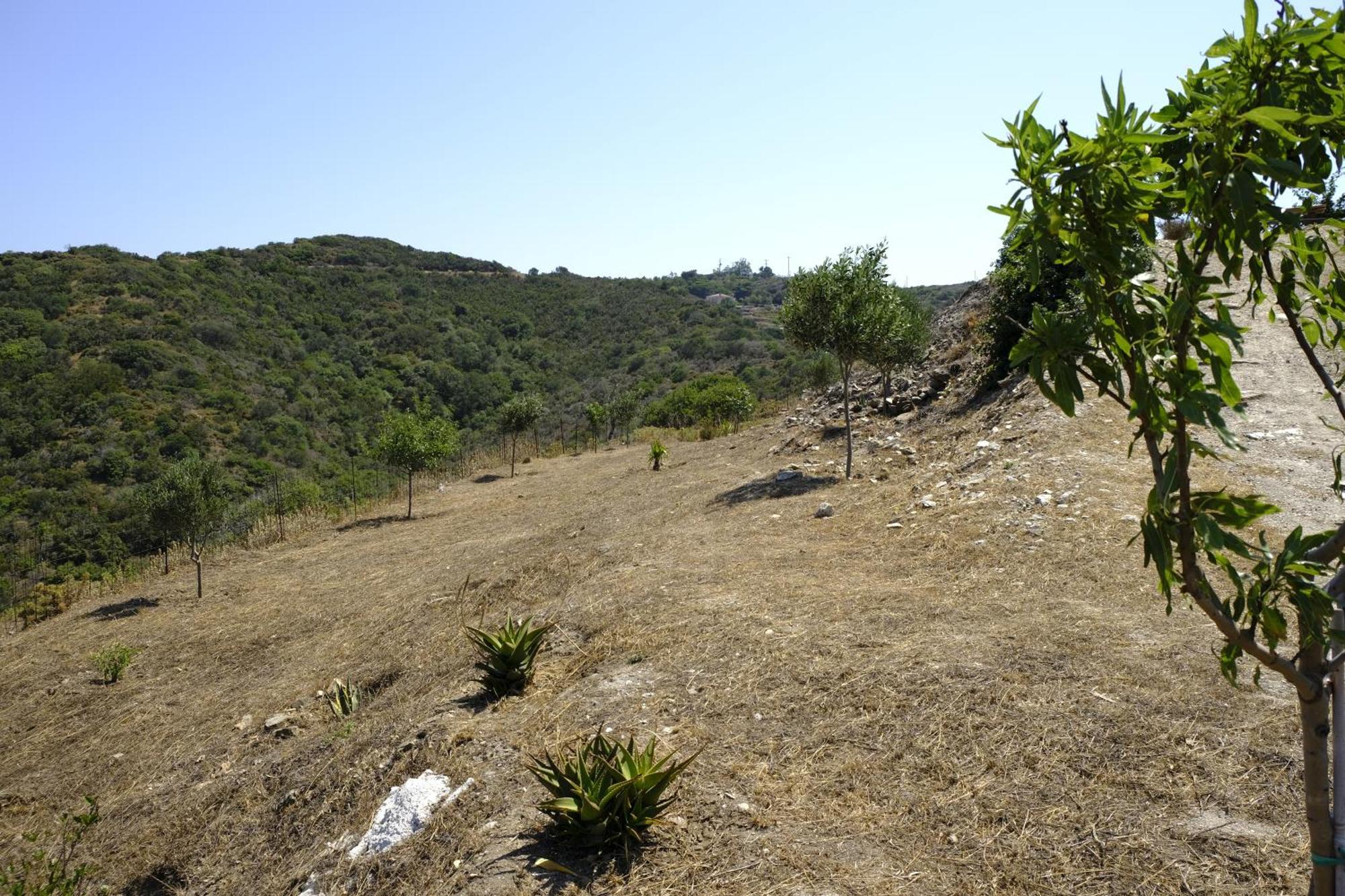 Hill'S Barbacane Potamos  Bagian luar foto